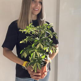 Flower story