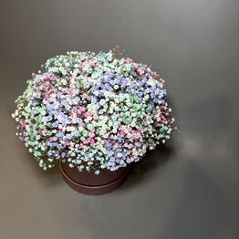 Flower magic