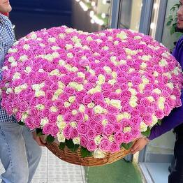 VIP Corazones 💕 de 501 rosas