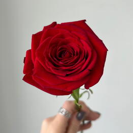 Balance flowers