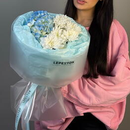 Lepestok_premium