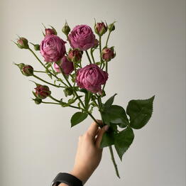 Flower Art 