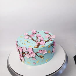 Dessert cake