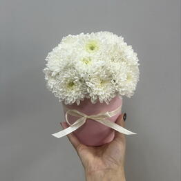 Flor Master