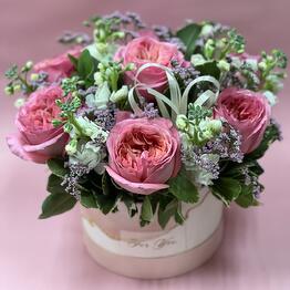 Romashka flowers 24 time