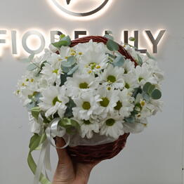 Fiore Lily spb