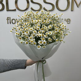 Blossom
