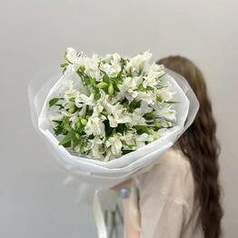 Florideya 