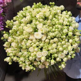 AGA_Flowers