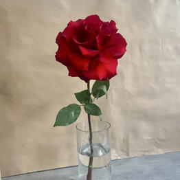 Flowershop.store