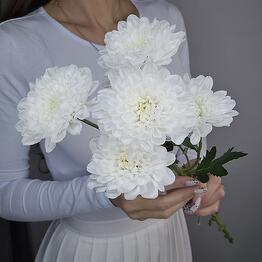 Prospekt Cvety 24