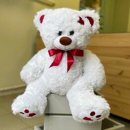 Pion_Spb