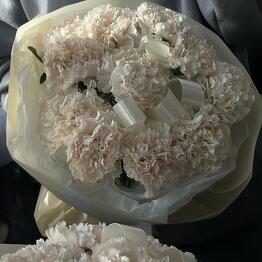Bloom.by.bar