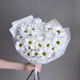 Flores