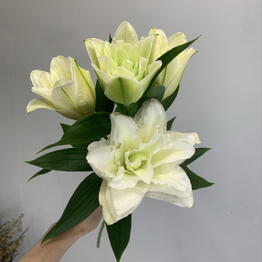 Moment flower 🌼 