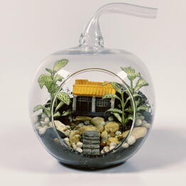 Plan Plants