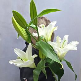 Beautiful Flowers na Mozhayskom shosse