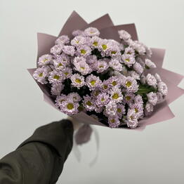 NOVIFLOWERS