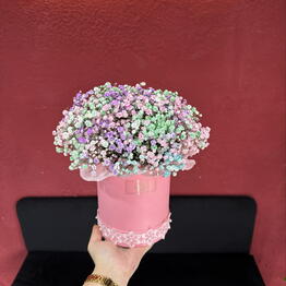 maii flowers
