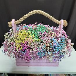 Caja de gypsophila