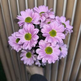 Rob’s Flowers 
