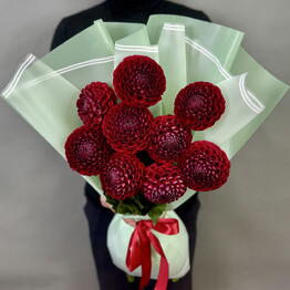 TopFlowers