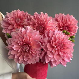 Fine Fleur