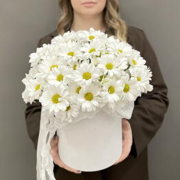 Inter-Flora