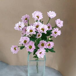 Flowershop.store