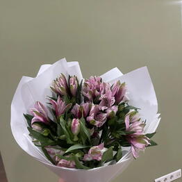 Passion Flowers