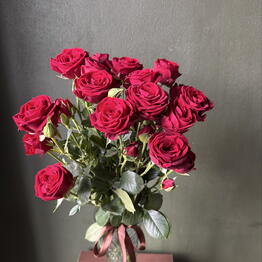 Flosmani