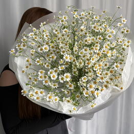 Flowers NS