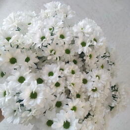 Loveflowerswow