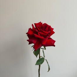 СЕНО FLOWERS
