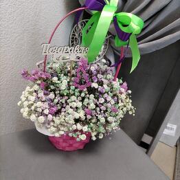 Flowers ot Romaski