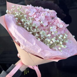 Arka flowers