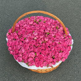 Bloomia