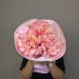 French Rose