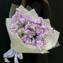 Bouquet lilac fragrant mattiola (mb 152)