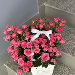 Gift Flower