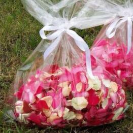 Symphony Flowers
