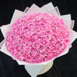FloraLaif