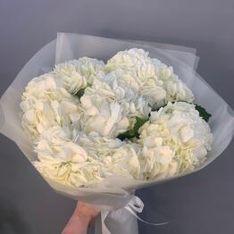 Белоснежное утро
