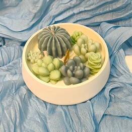 DIO_Art Decor
