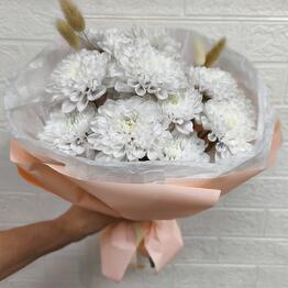Kflora