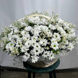 Flowers Boom