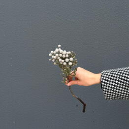 flowers by neplach.coffee Tekstilshchiki