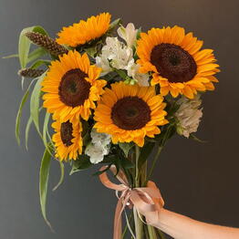 Flowers titan