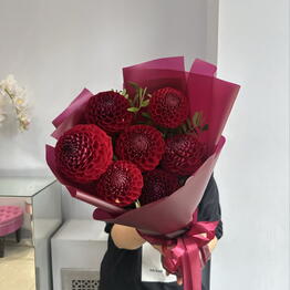 Pion Art And Flowers