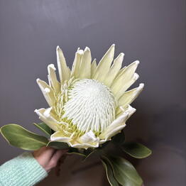 Flower magic